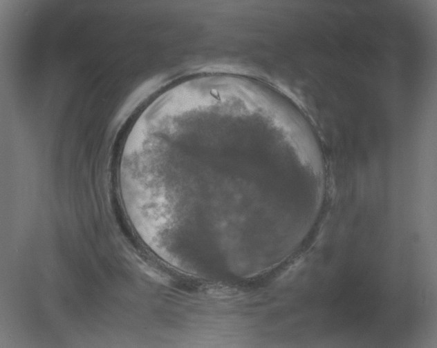 X0000080760199200701122038
