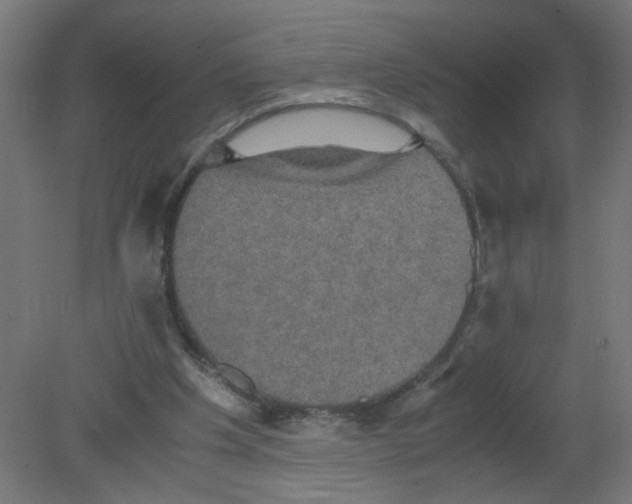 X0000080760201200701122038