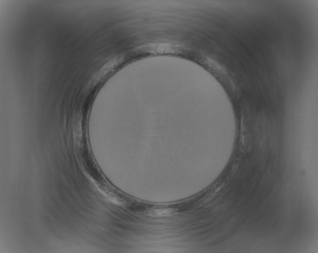X0000080760202200701122038