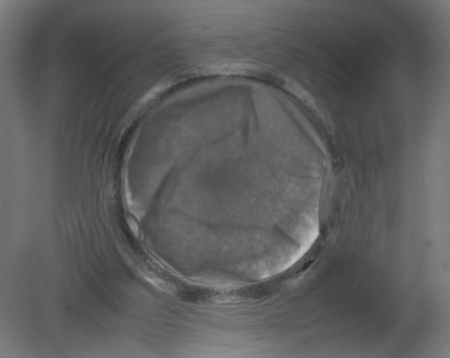 X0000080760203200701122038