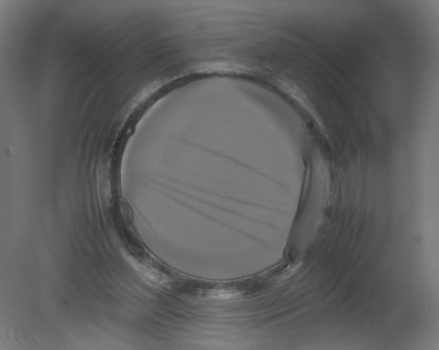 X0000080760204200701122038