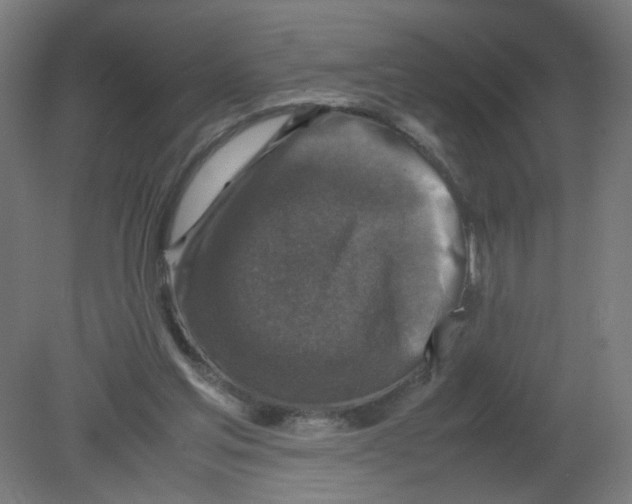 X0000080760205200701122038