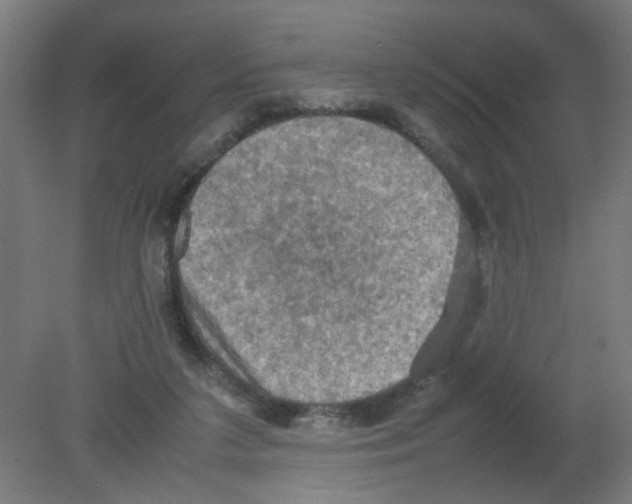 X0000080760211200701122038