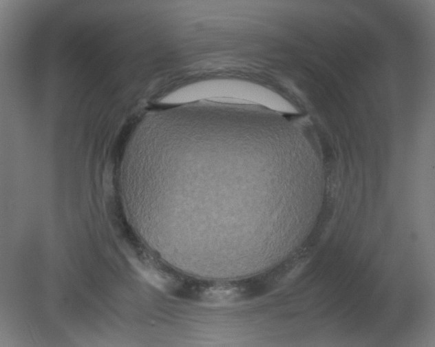 X0000080760213200701122038