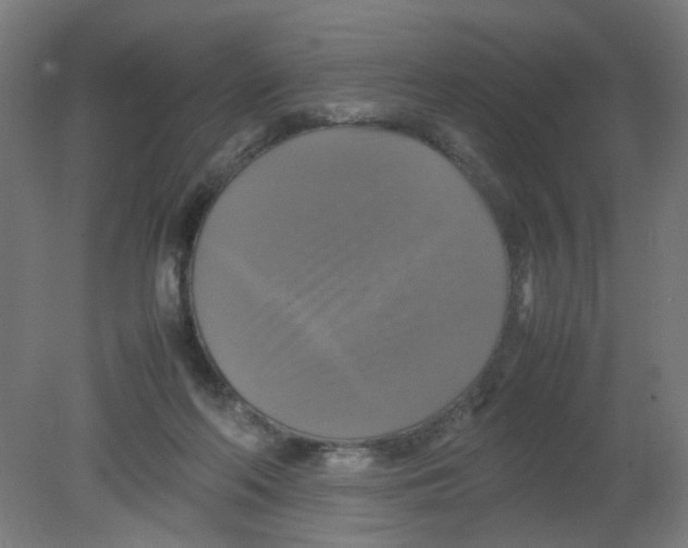 X0000080760214200701122038