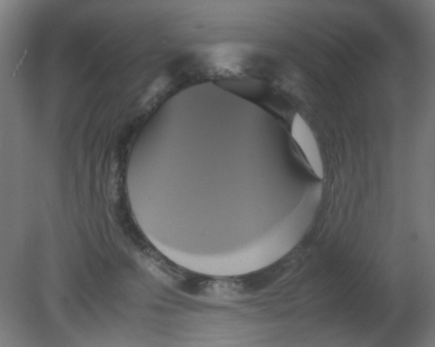 X0000080760223200701122038