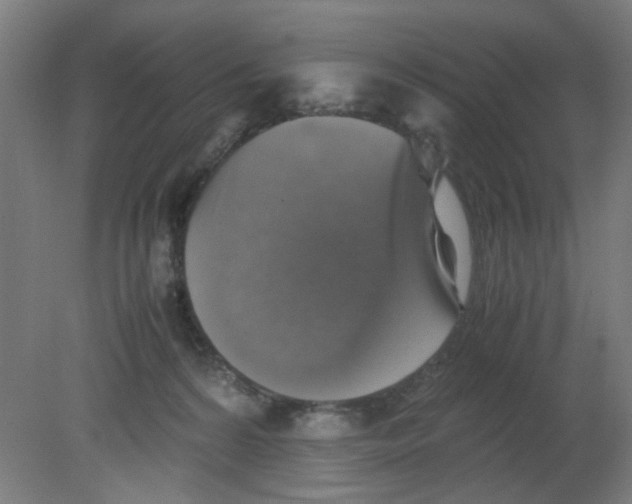 X0000080760224200701122038
