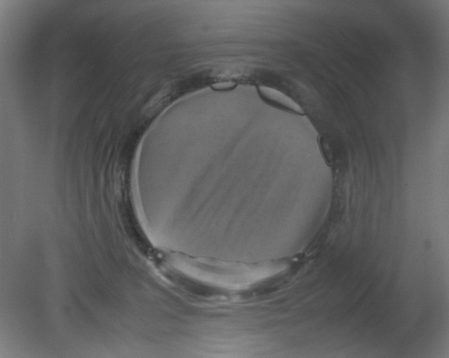 X0000080760227200701122037