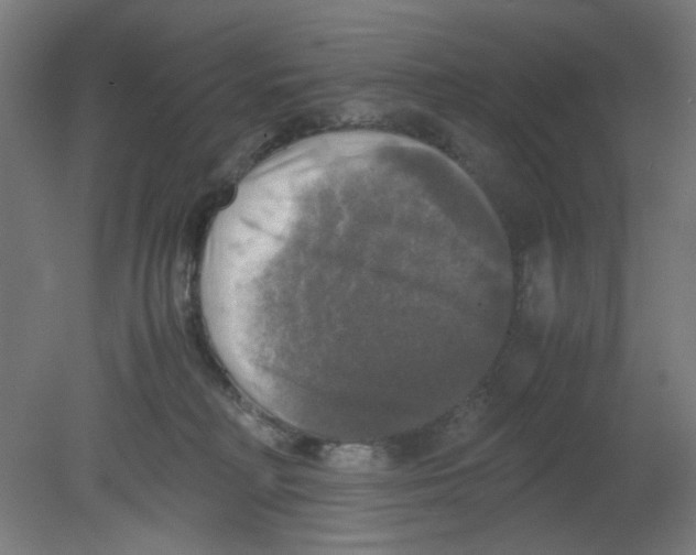 X0000080760230200701122037