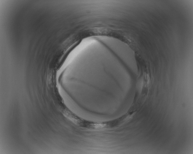 X0000080760233200701122037