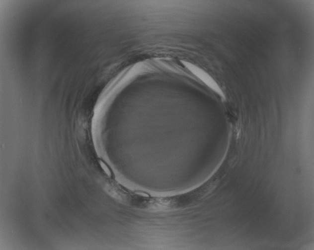 X0000080760235200701122037