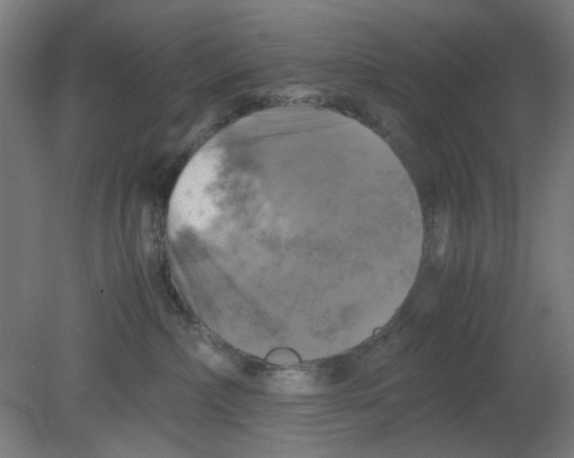 X0000080760236200701122037