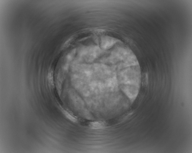 X0000080760238200701122037