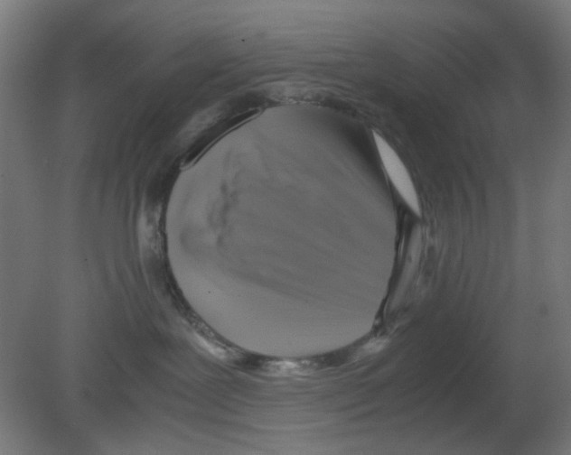 X0000080760239200701122037