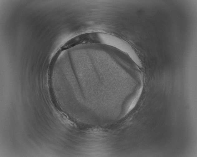 X0000080760244200701122036