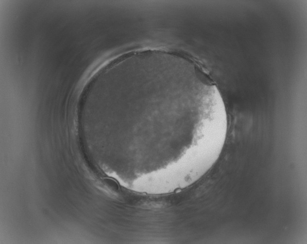X0000080760247200701122037