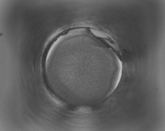 X0000080760248200701122037