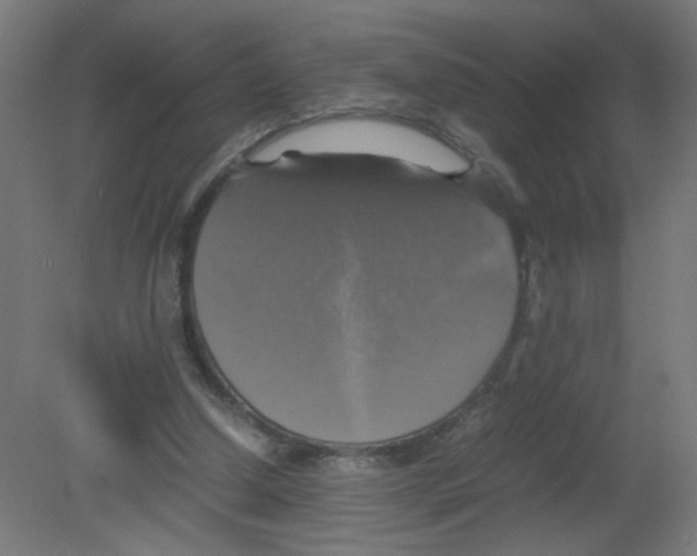X0000080760250200701122037