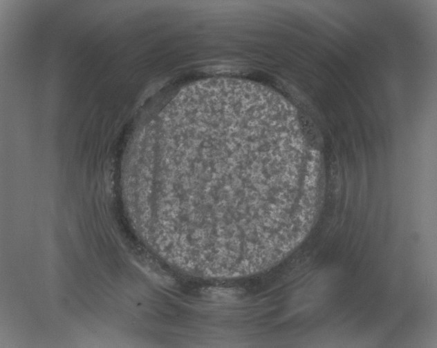 X0000080760255200701122037