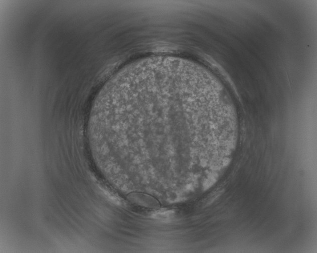 X0000080760257200701122037