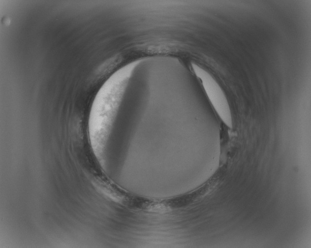X0000080760258200701122037