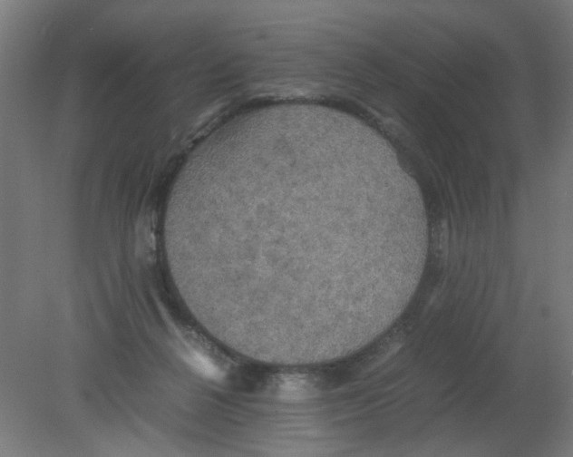X0000080760264200701122037