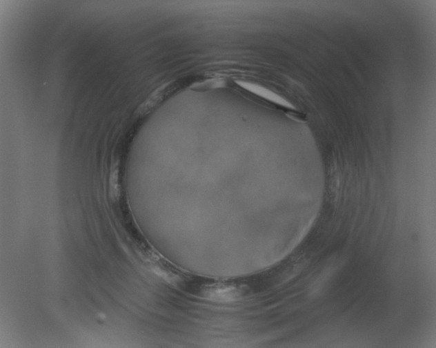X0000080760267200701122037