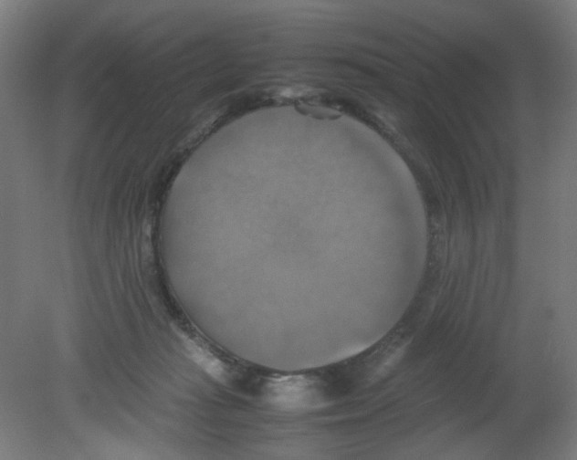 X0000080760269200701122037
