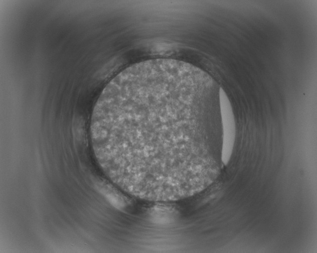 X0000080760270200701122037