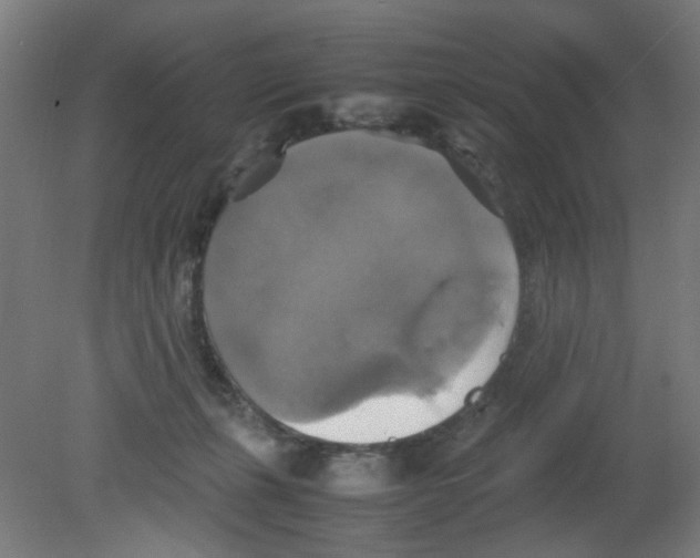 X0000080760271200701122037
