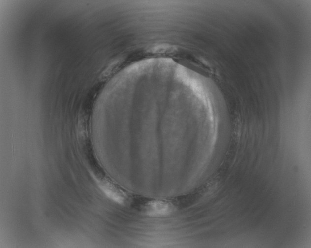 X0000080760272200701122037