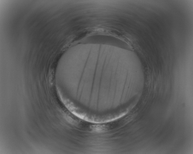 X0000080760273200701122037