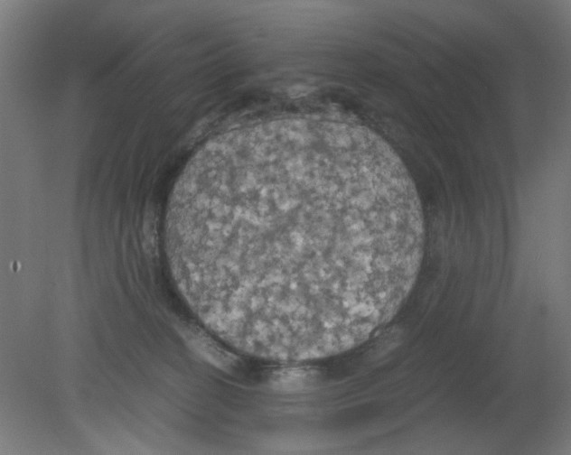 X0000080760274200701122037