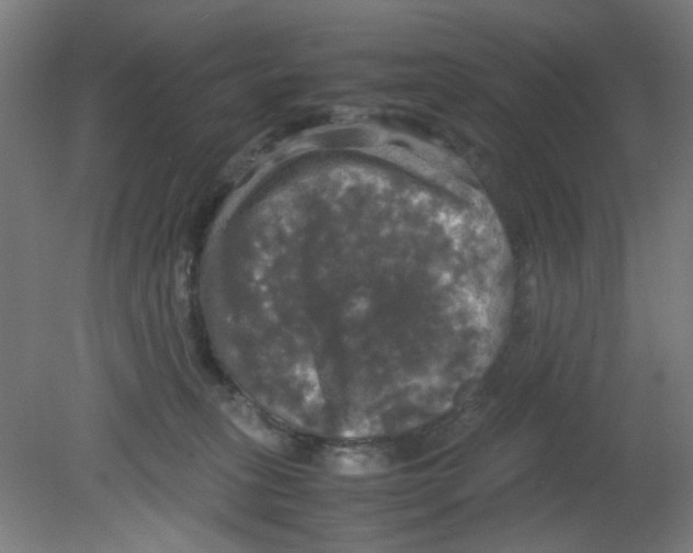 X0000080760275200701122037