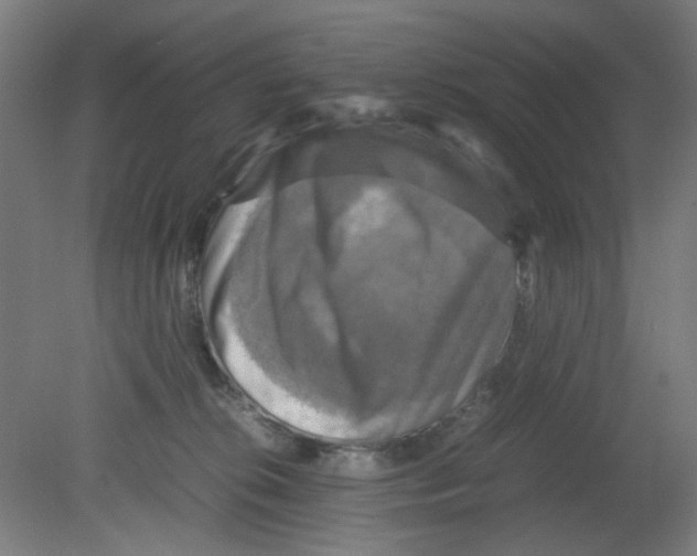 X0000080760276200701122037