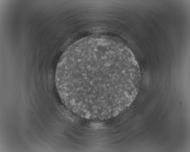 X0000080760283200701122037
