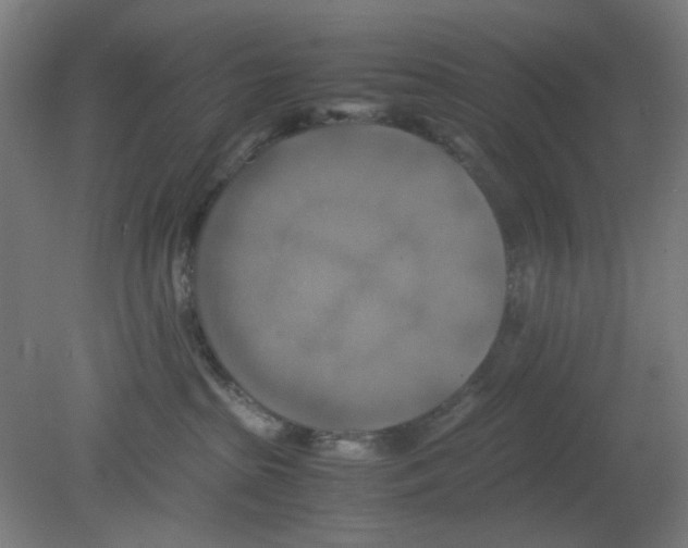 X0000080760285200701122037