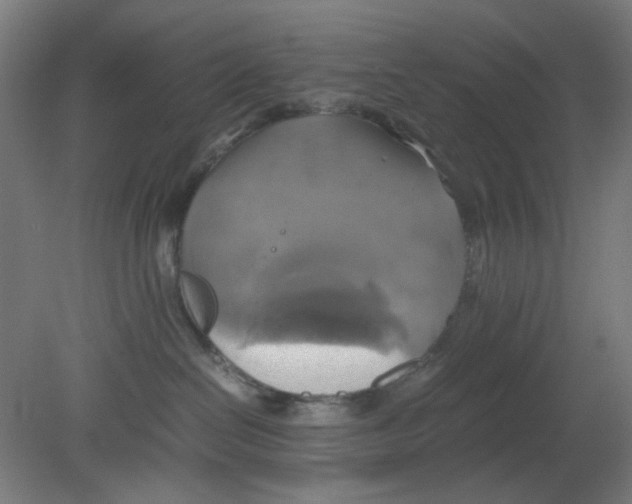 X0000080760286200701122037