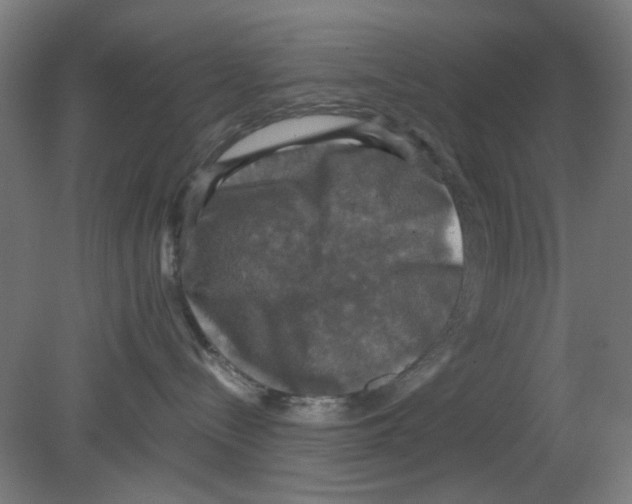 X0000080760288200701122037