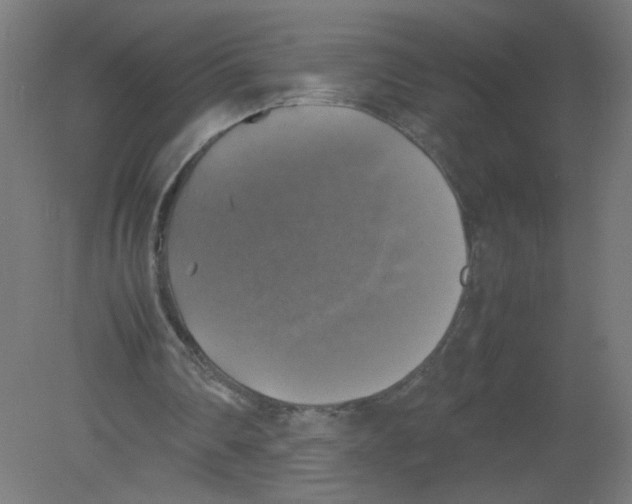 X0000080760290200701122036