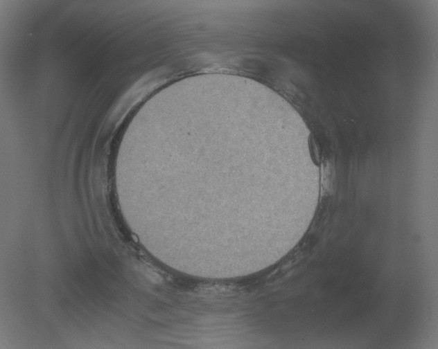 X0000080760291200701122036