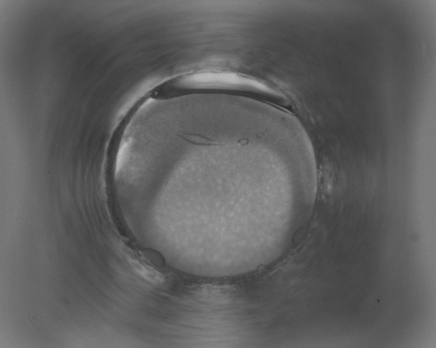 X0000080760292200701122036