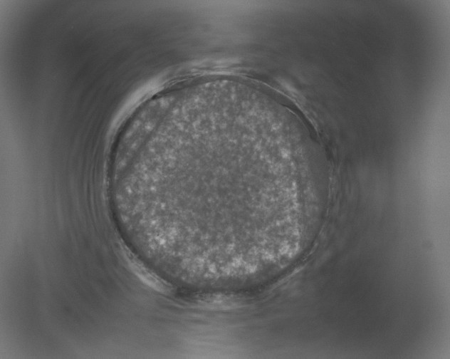 X0000080760293200701122036