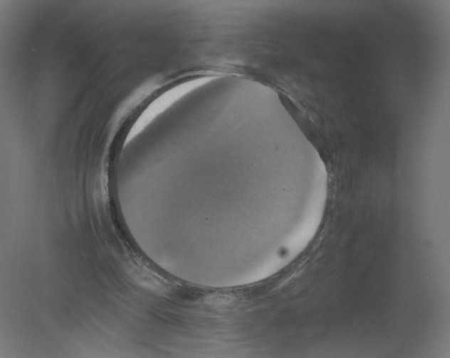 X0000080760294200701122036