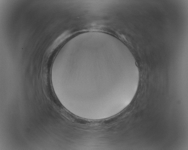 X0000080760295200701122036