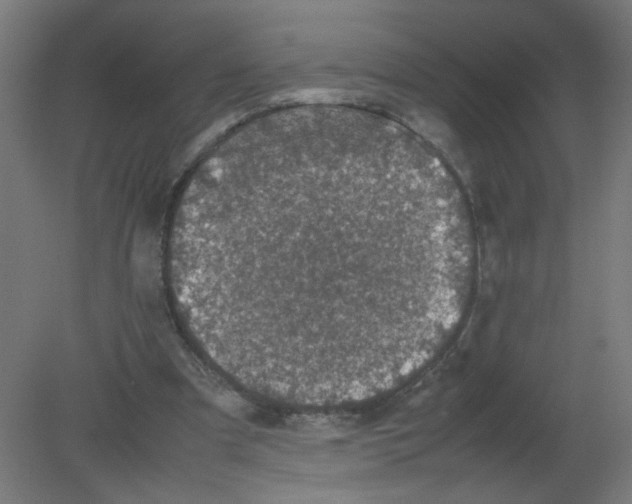 X0000080760297200701122036