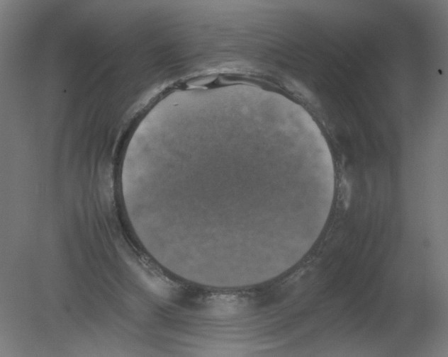 X0000080760298200701122036