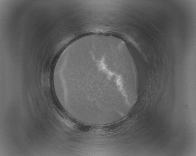 X0000080760299200701122036