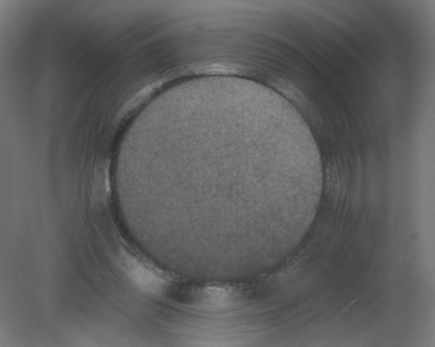 X0000080760302200701122036