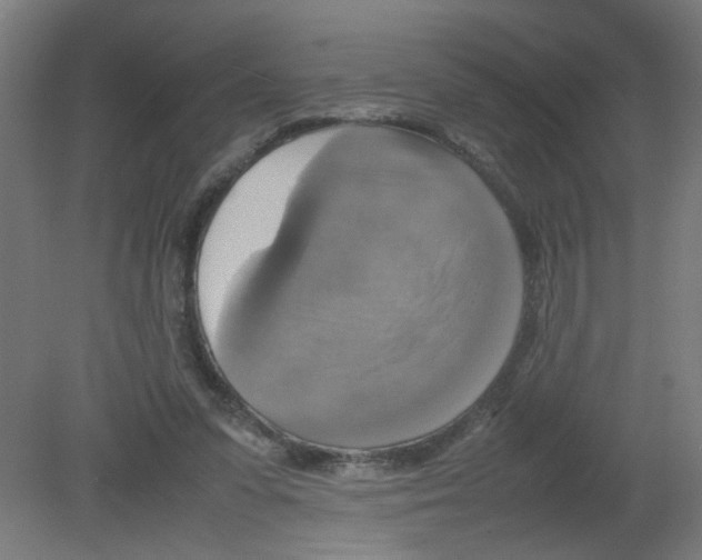 X0000080760303200701122036